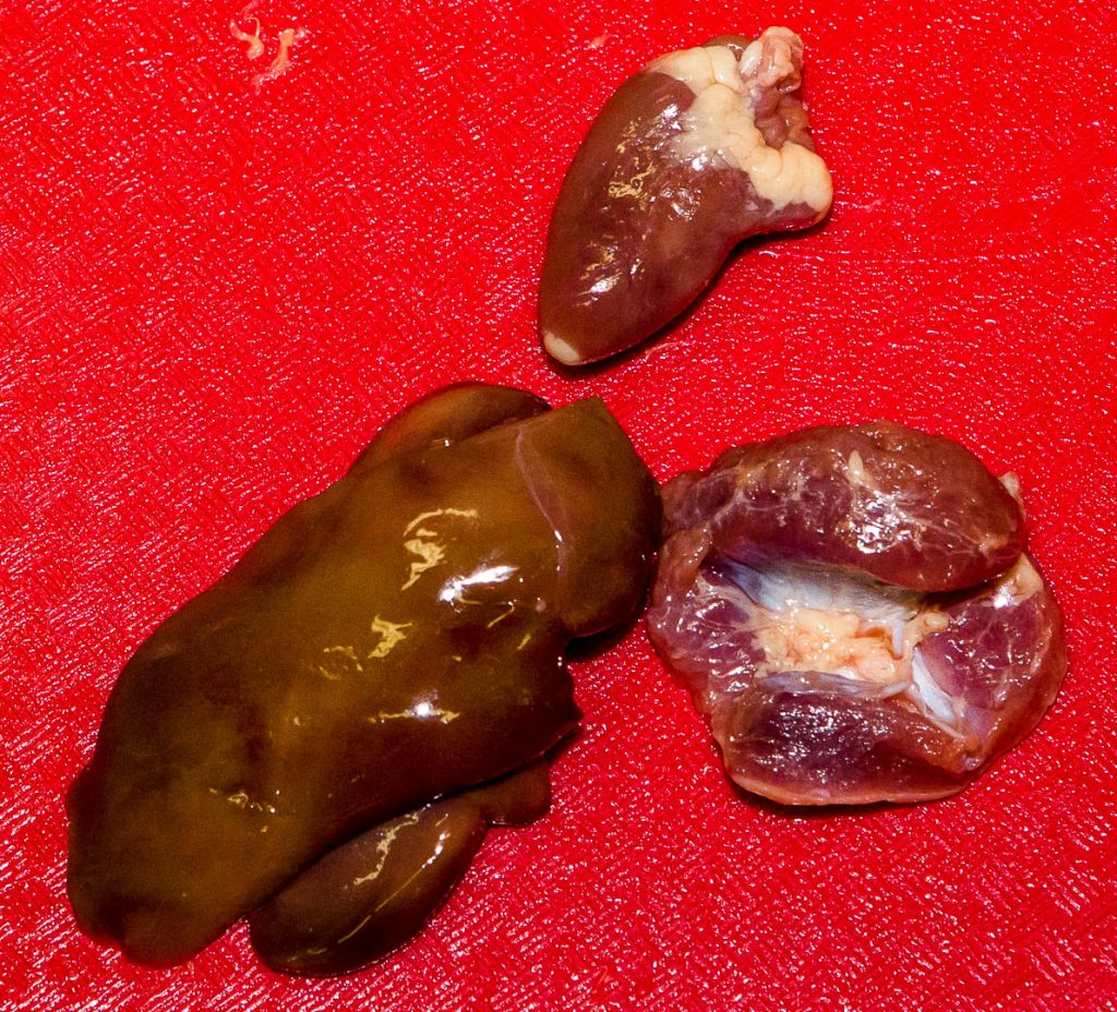 Heart, liver and giblets